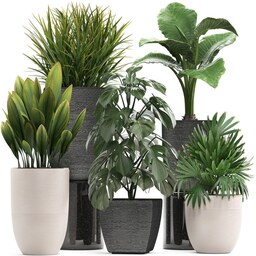 کود تقویتی مخصوص گل و گیاهان آپارتمانی ظرافت وزن 50 گرم