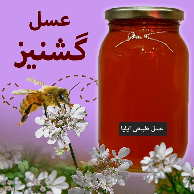 عسل طبیعی گشنیز( فراورده های طبیعی ایلیا )