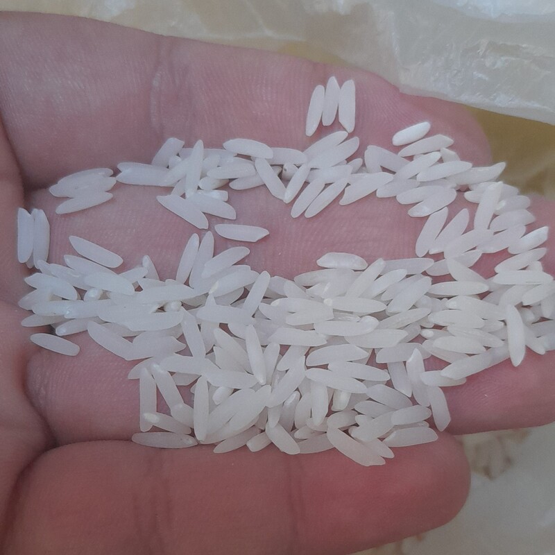 برنج طارم هاشمی مازندران خوش بو خالص در بسته های10 کیلویی(کشت اول امسال)
