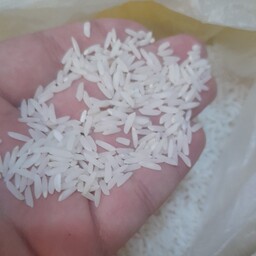 برنج طارم هاشمی مازندران خوش بو  خالص در بسته های 5 کیلویی(کشت اول امسال)