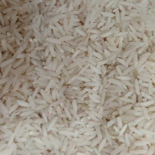 برنج طارم  کشت دوم با عطر و طعم بی نظیر(10کیلویی)