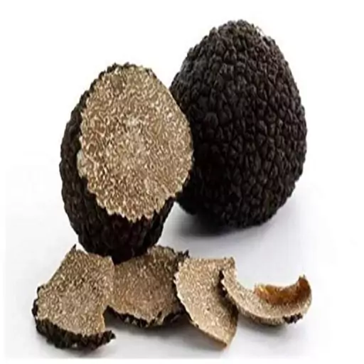 قارچ ترافل سیاه  خشک بسته 50 گرمی Dried truffle mushroom