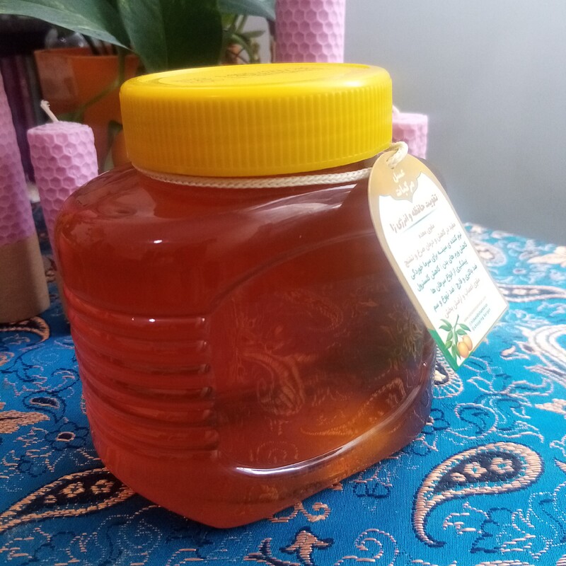 عسل طبیعی مرکبات، بارگان، یک کیلو