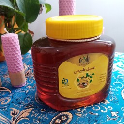 عسل گشنیز یک کیلویی  بارگان، طبیعی و خالص