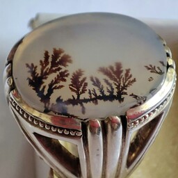انگشتر شجر قائن درشت زیبا و شفاف با منظره ردیف درختان واضح  رکاب 4مهر دستساز