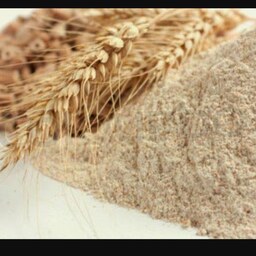  جوانه گندم 10 کیلو گرمی (پودر جوانه گندم)- خرید مستقیم از تولید کننده