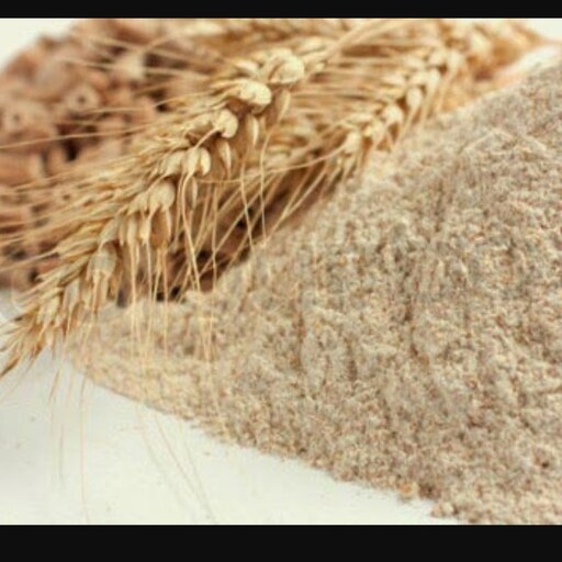  جوانه گندم 10 کیلو گرمی (پودر جوانه گندم)- خرید مستقیم از تولید کننده