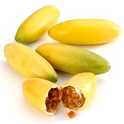 5 عدد  بذر پشن فروت موزی - Banana Passion Fruit