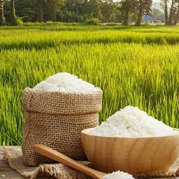 فروش برنج به قیمت ارزان(با کیفیت و درجه های متفاوت و عالی)