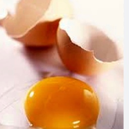 روغن زرده تخمه مرغ یک لیتری خالص