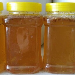 عسل ارگانیک طبیعی مرکبات 