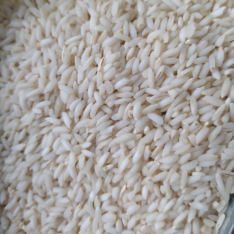 برنج عنبربو 10 کیلو گرم ارسال رایگان 