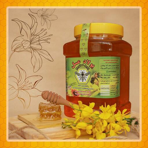 (پولادعسل) .عسل 2000 گرمی گشنیز عطر و طعم عالی مناسب برای دیابتی ها 