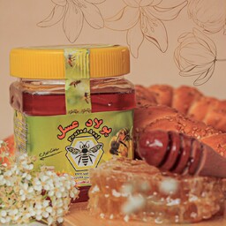 عسل 500 گرمی کنار  طبیعی با عطر و طعم عالی و خواس درمانی متعدد 