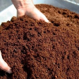 کوکوپیت سریلانکا ( 5 لیتری ) خاک