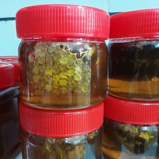 عسل چهل گیاه صادراتی و اقتصادی موم دار یاسوج(300گرم)