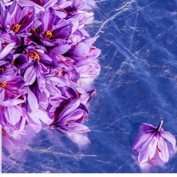 گلبرگ زعفران تازه و درجه یک(50)گرم
