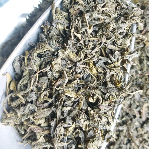 چای سبز اعلا صادراتی 1402 ارسال رایگان2 کیلو 