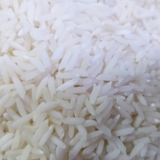 برنج صدری هاشمی تازه آستانه اشرفیه 1402 ارسال رایگان