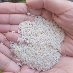 سرلاشه برنج هاشمی درجه 1 محصول 1402 .10 کیلویی 
