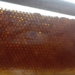 عسل طبیعی سبلان 