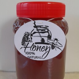 عسل چهل گیاه (ساکارز زیر 3درصد)مستقیم از تولید کننده، 1کیلوگرم