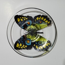 نقاشی روی نعلبکی کوچک با ویترای طراحی پروانه با قطر 15 