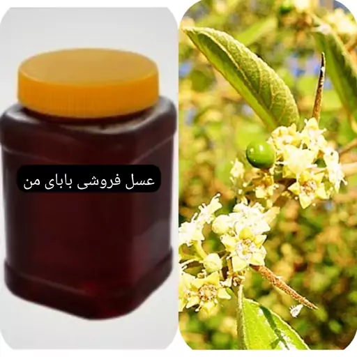 شهد عسل کنار  (1 کیلویی سرعین)                      