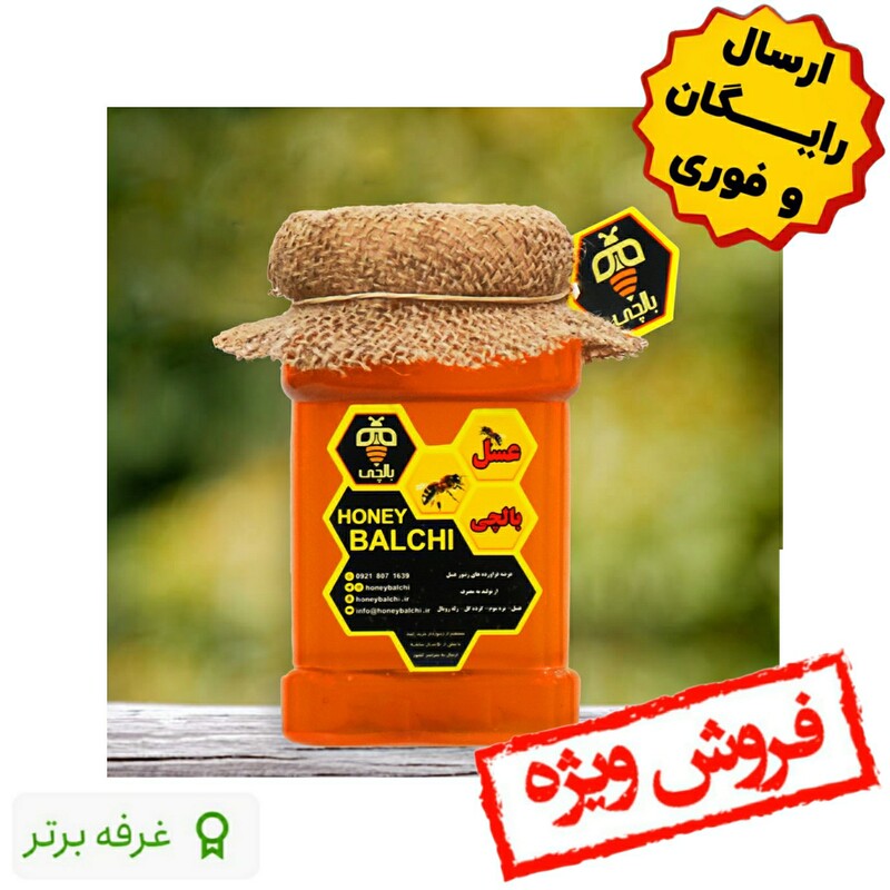 عسل طبیعی کوهستان بالچی (2 کیلوگرم) (خرید از زنبوردار نمونه و ارسال رایگان)