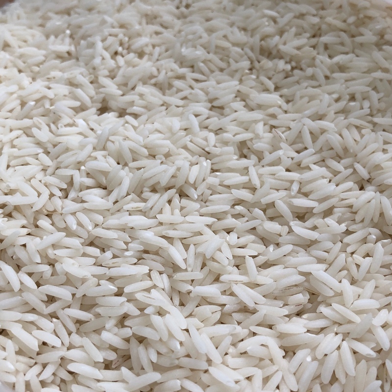 برنج طارم هاشمی ممتاز و معطر فریدونکنار بسته 10کیلویی