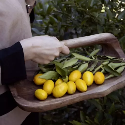 شیرینی خوری چوبی دسته دار از چوب گردو