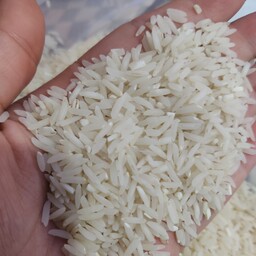 برنج طارم هاشمی مازندران محصول شالیزار خودمان خرید بی واسطه  پک5کیلویی