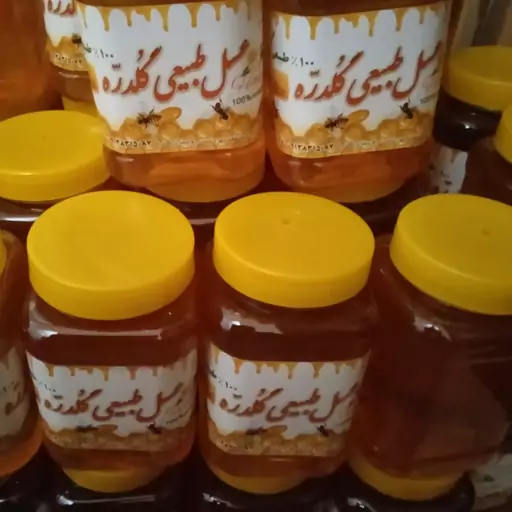 عسل طبیعی گون یک کیلویی 