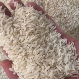 برنج سرلاشه طارم هاشمی مخصوص چلو (10 کیلو)
