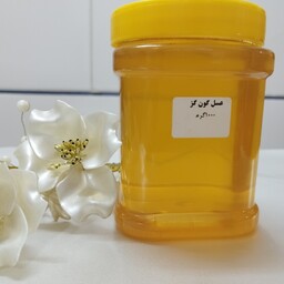 عسل گون گز(عسل انگبین) اعلاء و باکیفیت ترین ( 960 گرم خالص)