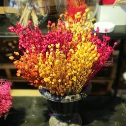 گل خشک تزیینی تلخه کیفیت عالی بسته پر در انواع رنگبندی