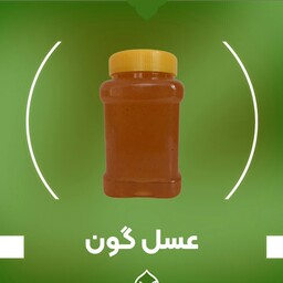 عسل گون اصل زاگرس(یک کیلویی) با قابلیت مرجوعی