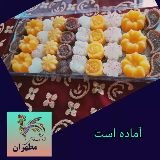 جعبه نبات فانتزی 1