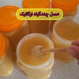 عسل چندگیاه ارگانیک اصل رس بسته 1 کیلویی کوهستان دالانکوه-کوهی (خرید مستقیم از زنبوردار)