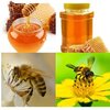 عسل و انواع حبوبات و اقلام موجود ارگانیک