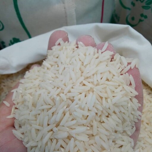 برنج طارم هاشمی  کشت دوم ارگانیک کیسه 20کیلویی ارسال رایگان از کشاورز