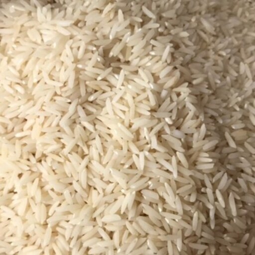 برنج طارم هاشمی  مازندران درجه یک غربال شده کیسه 5 کیلویی کشت 1402