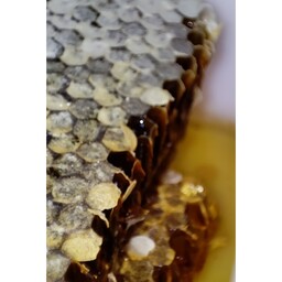 یک کیلو عسل طبیعی سبلان با موم