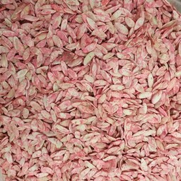 بذر خیار چمبر کاشتی - 1 کیلو