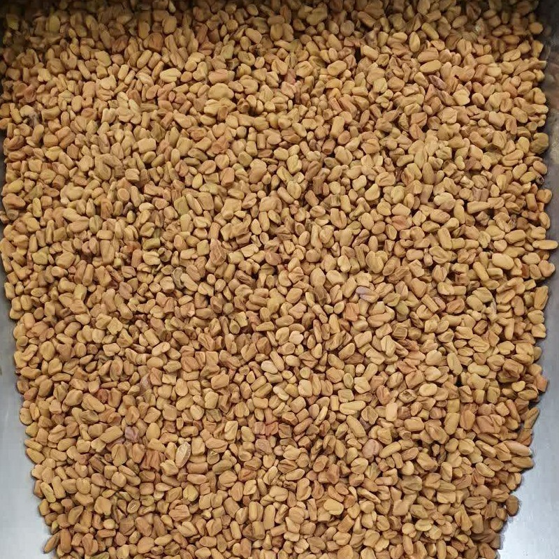 بذر شنبلیله هندی (تخم شنبلیله) - 500 گرم