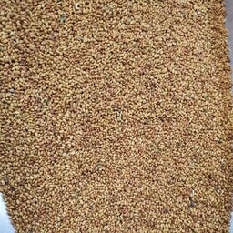 بذر یونجه (تخم یونجه) - 250 گرم