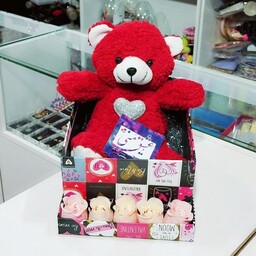 باکس کادویی عروسک خرس پولیشی قرمز و گل و کارت پستال