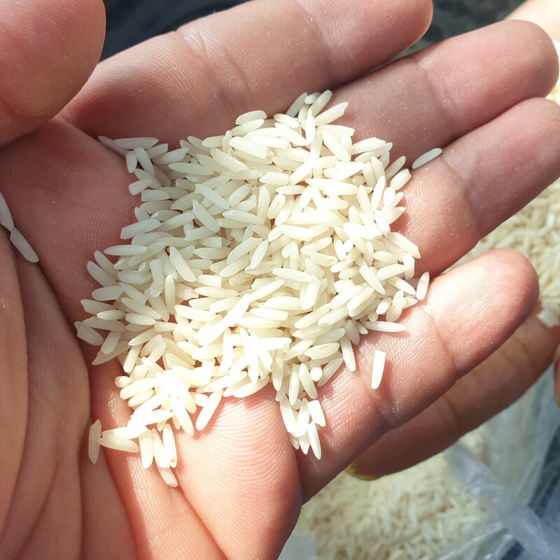برنج طارم هاشمی معطر  امساله(کشت اول 1402) کیسه 20 کیلویی -پس کرایه