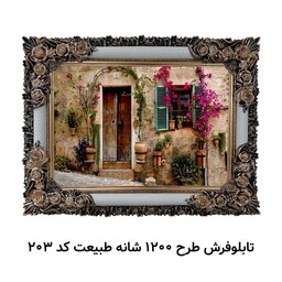 تابلو فرش طرح 1200 شانه طبیعت سایز 50 در 70 با قاب شاپرک کد 203