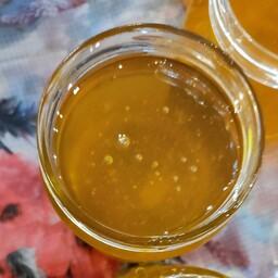 عسل سنتی سدر جنوب (حرارت ندیده)  برداشت آذرماه 1402  (یک کیلو خالص )